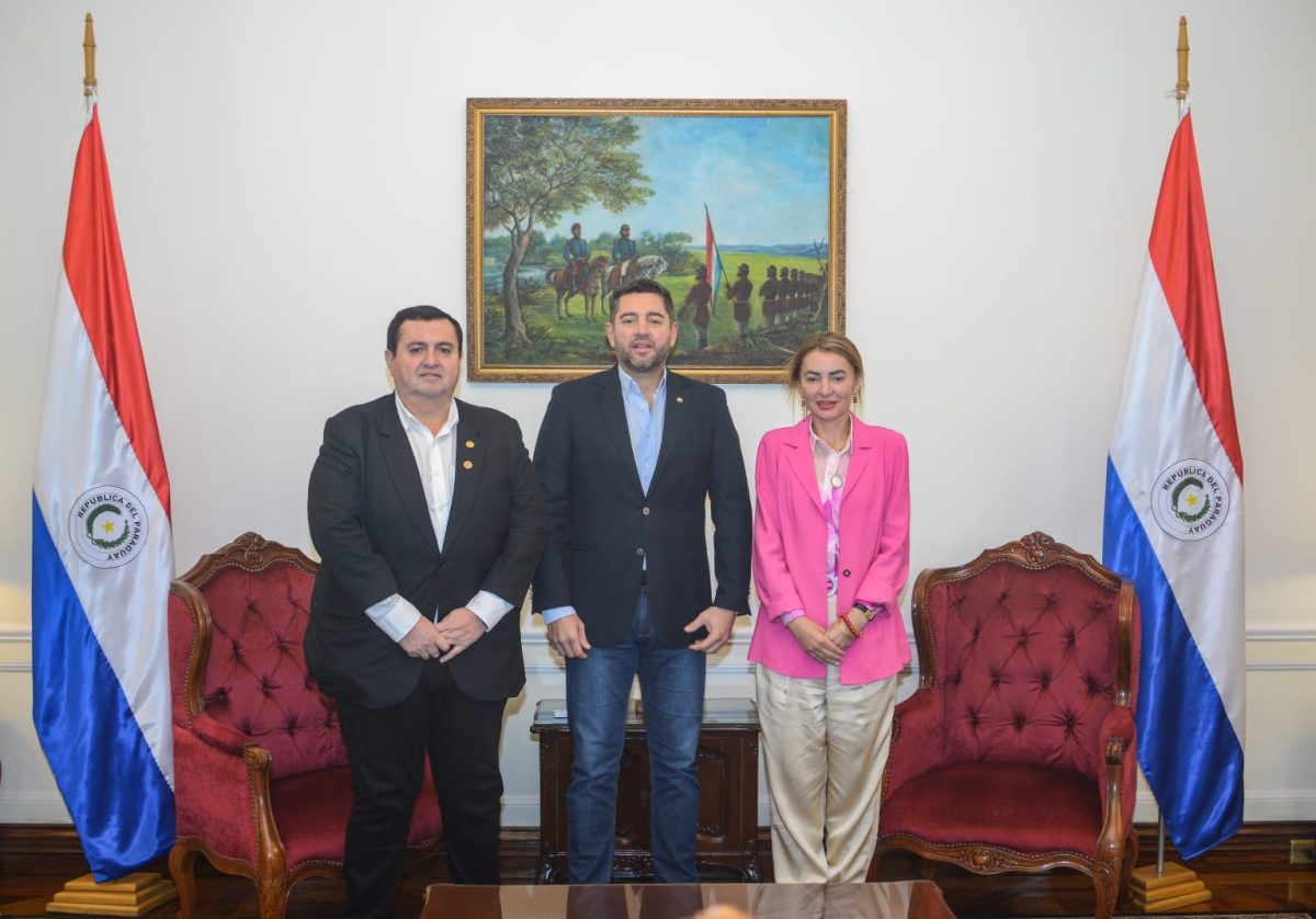 Diputados solicitan intermediación del vicepresidente para que empresa culmine el asfaltado de la ruta Pozo Colorado-Concepción