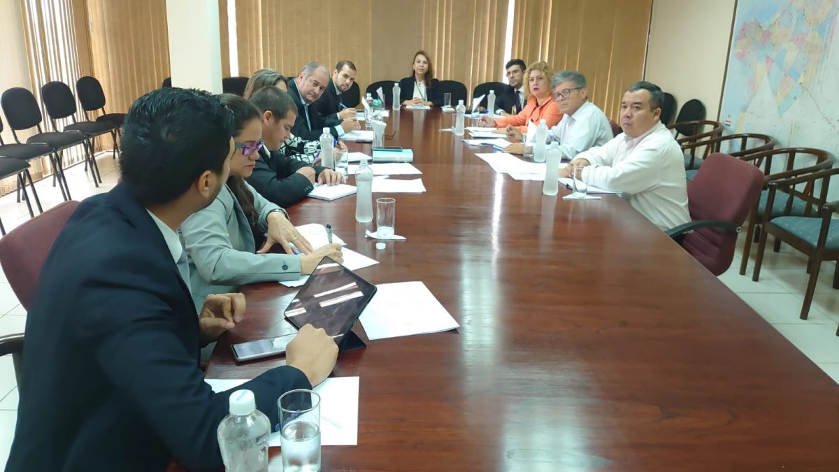 INDI presenta avance ante autoridades, con la intermediación de la Dirección de DD.HH de la Vicepresidencia