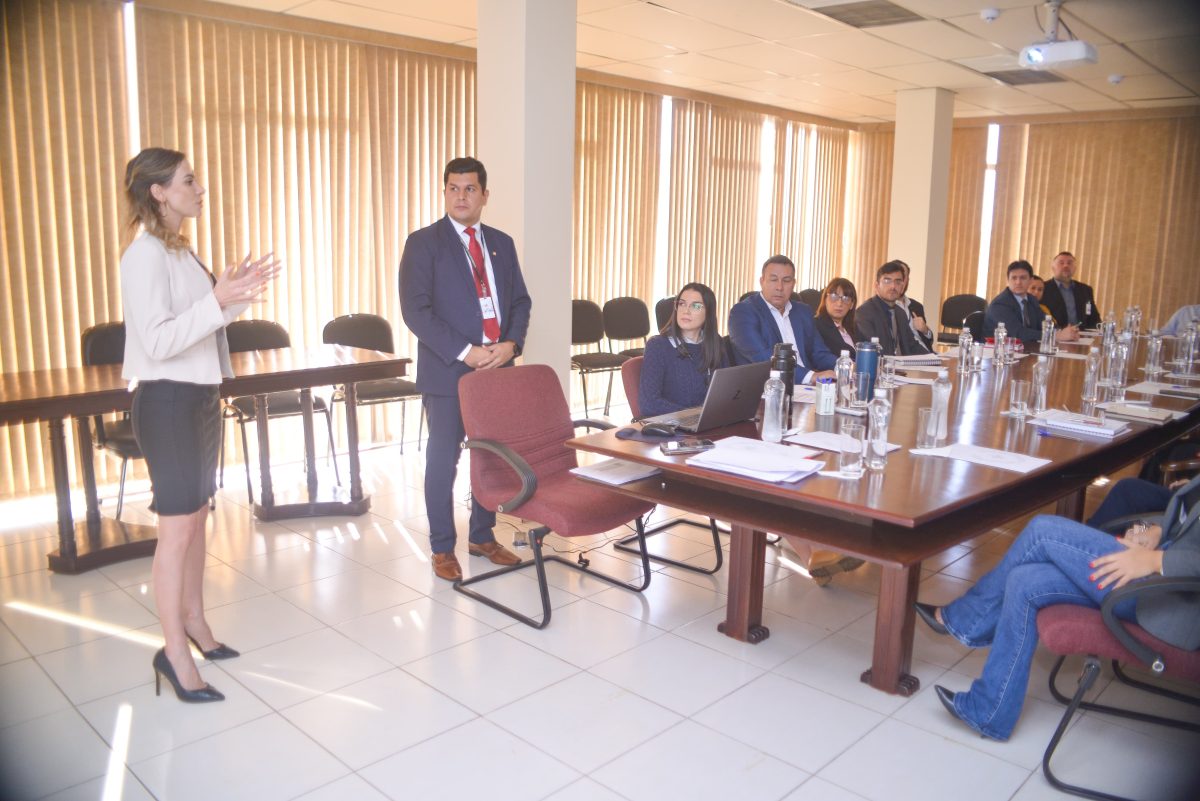 Establecen modalidad de trabajo para elaboración del Plan Estratégico Institucional 2024-2027 de la Vicepresidencia de la República