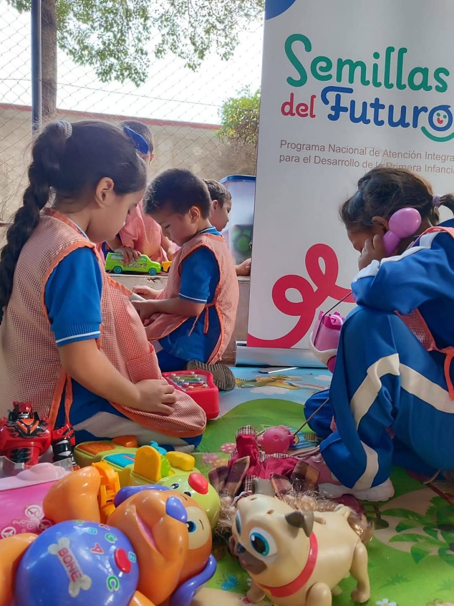 CON APOYO DE LA VICEPRESIDENCIA